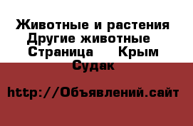 Животные и растения Другие животные - Страница 3 . Крым,Судак